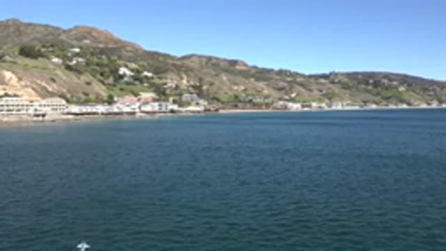 MALIBU CALIFORNIA-2020: Beautiful View Of Waterside Town With A White Bird Flying