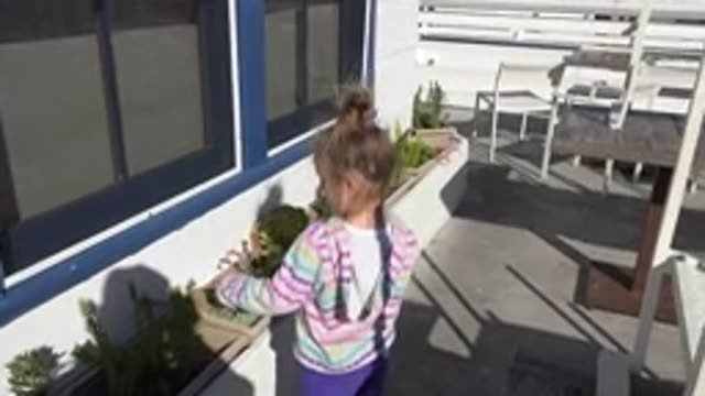 MALIBU CALIFORNIA-2020: Little Girl Checks On Flower And Then Picks One For