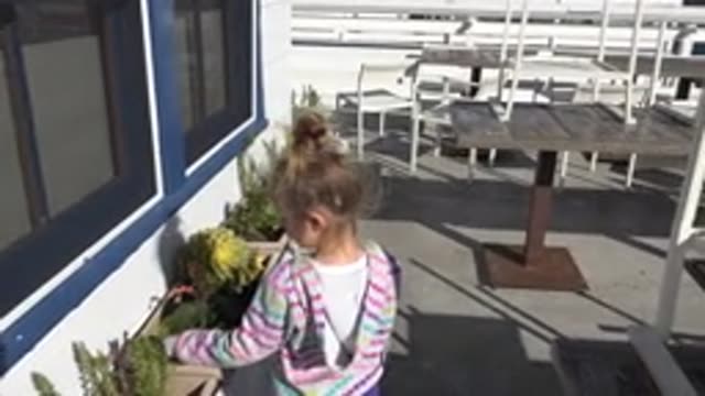 MALIBU CALIFORNIA-2020: Young Child Playing With And Stroking The Plants At The