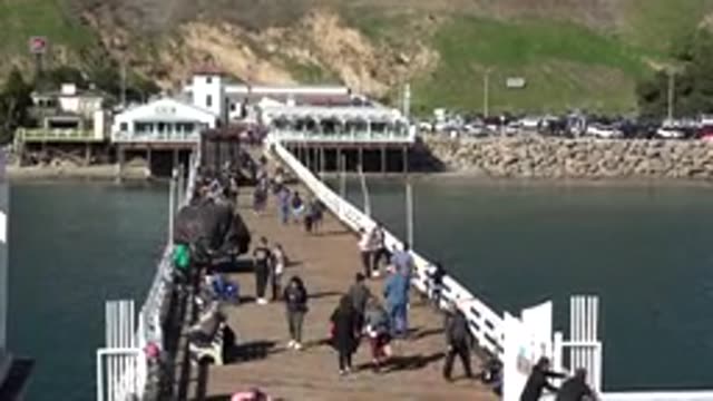 MALIBU CALIFORNIA-2020: Various People Walking Over A Bridge