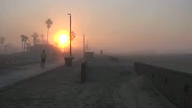 HUNTINGTON BEACH CALIFORNIA-2020: Runner Sunset Palm Tree Beach Sand Evening