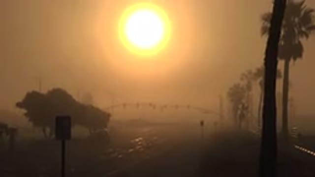 HUNTINGTON BEACH CALIFORNIA-2020: Cars Driving In A Lonely Street With An Orange Sun And Palm Trees