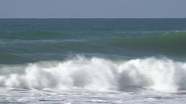 HUNTINGTON BEACH CALIFORNIA-2020: Geese Floating On Wavy Waters