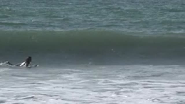HUNTINGTON BEACH CALIFORNIA-2020: Man Surfing And Standing Up On The Surfboard