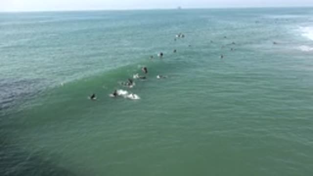HUNTINGTON BEACH CALIFORNIA-2020: Multiple Surfers At Beach On Sunny Day