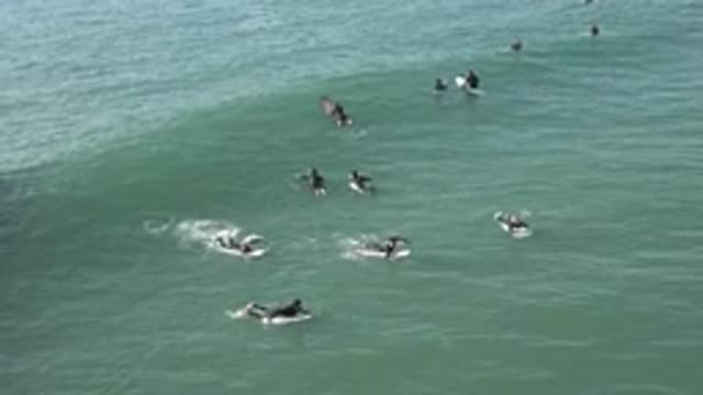 HUNTINGTON BEACH CALIFORNIA-2020: Surfers Enjoy A Great Sunny Day Riding Waves