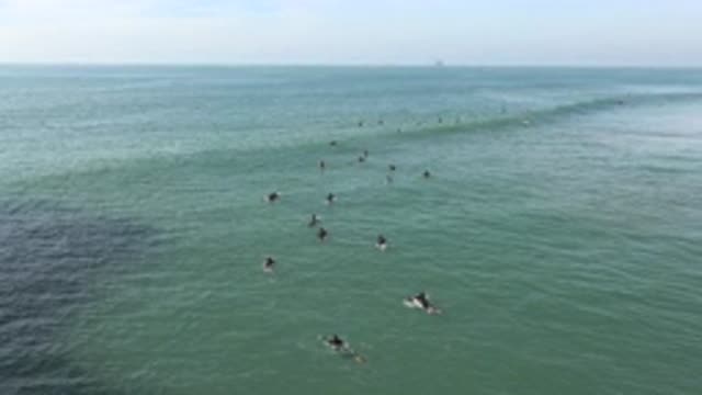 HUNTINGTON BEACH CALIFORNIA-2020: Surfers With Their Boards Swimming In The Waves
