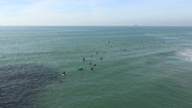 HUNTINGTON BEACH CALIFORNIA-2020: Surfers Enjoy The Sun As They Await The Waves
