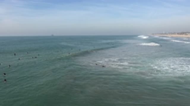 HUNTINGTON BEACH CALIFORNIA-2020: Many People Are Swimming In A Large Beach With