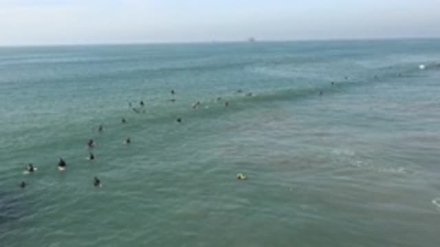 HUNTINGTON BEACH CALIFORNIA-2020: Surfers Wearing Black Bodysuits Riding Waves