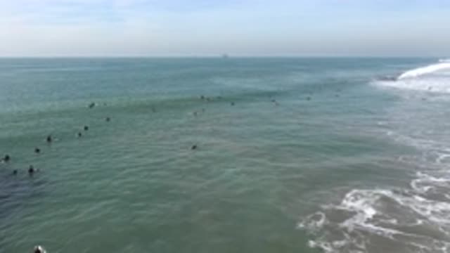 HUNTINGTON BEACH CALIFORNIA-2020: Boy Chasing Animal Near Ocean Shore