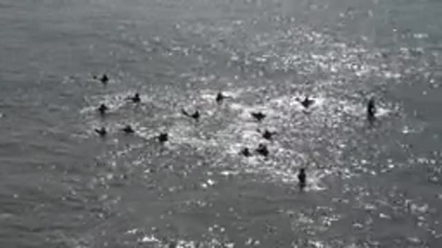 HUNTINGTON BEACH CALIFORNIA-2020: Group Of People Swimming In The River