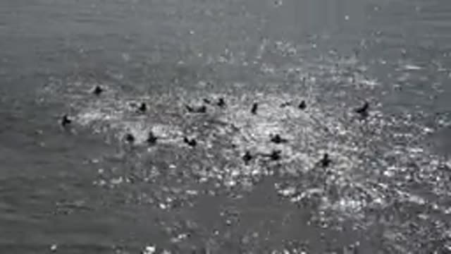 HUNTINGTON BEACH CALIFORNIA-2020: People Swimming In The Beach With Tides