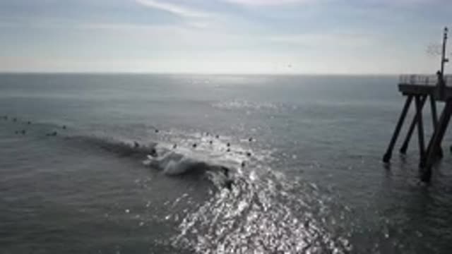 HUNTINGTON BEACH CALIFORNIA-2020: Surfers Catching A Wave Near A Pier