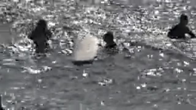 HUNTINGTON BEACH CALIFORNIA-2020: People Playing In The Waves With A Surfboard