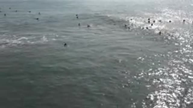 HUNTINGTON BEACH CALIFORNIA-2020: A Small Wave Crosses A Crowd Of People Who
