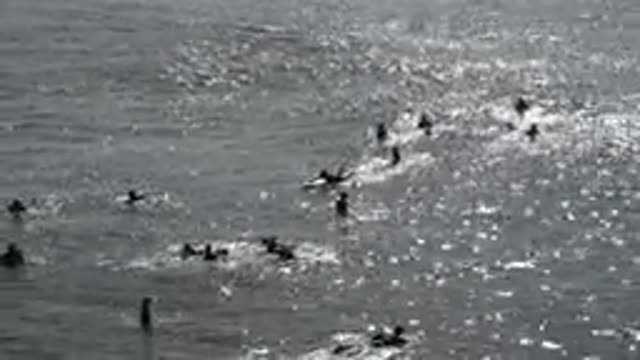 HUNTINGTON BEACH CALIFORNIA-2020: A Surfer In The Sea Passes Between People And