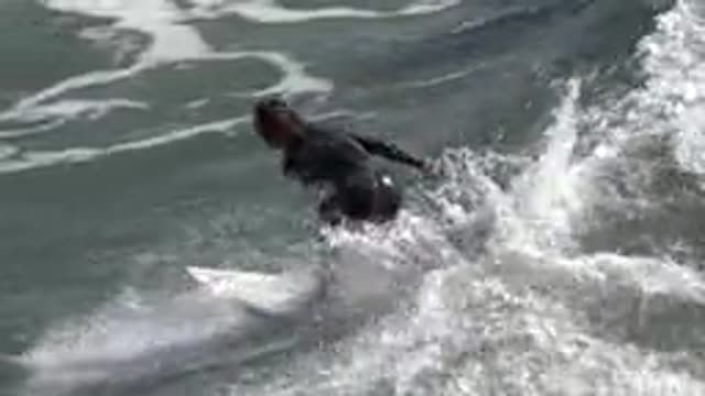 HUNTINGTON BEACH CALIFORNIA-2020: Woman in One Piece Black Wetsuit Rides Wave
