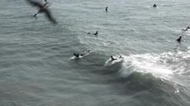 HUNTINGTON BEACH CALIFORNIA-2020: Peoples Surfing Surfboards In Sea Waves At