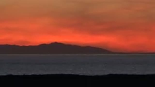 HUNTINGTON BEACH CALIFORNIA-2020: Outside In Nature Showing How Beautiful Mother