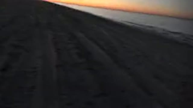 HUNTINGTON BEACH CALIFORNIA-2020: View Of Birds Standing On Empty Beach Near