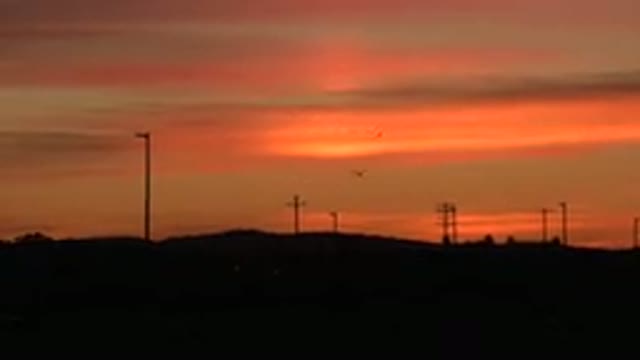 HUNTINGTON BEACH CALIFORNIA-2020: Pretty Orange Sky Birds Flying Headlights Of