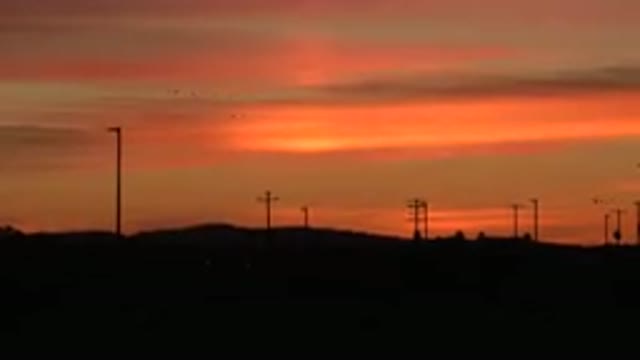 HUNTINGTON BEACH CALIFORNIA-2020: Lonely Bird Flying During A Beautiful Reddish Sunset