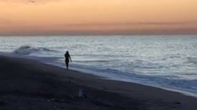 HUNTINGTON BEACH CALIFORNIA-2020: I Will Send A Few Peacock To Feel Your Vibe On