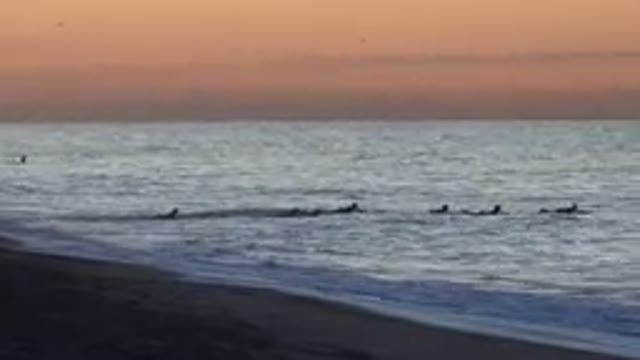 HUNTINGTON BEACH CALIFORNIA-2020: Surfers Surfing In The Ocean During Sunset