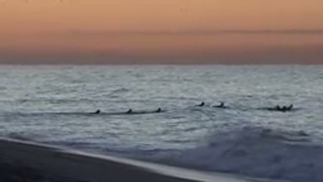 HUNTINGTON BEACH CALIFORNIA-2020: Surfing Is One Of The Sports That Offer You