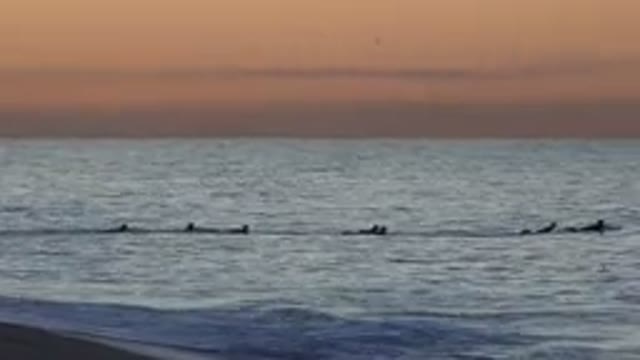 HUNTINGTON BEACH CALIFORNIA-2020: Seven People Floating and Paddling on Surfboards