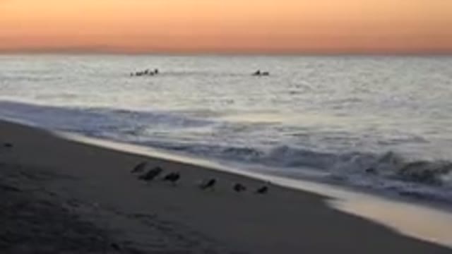 HUNTINGTON BEACH CALIFORNIA-2020: Waves Splash Over A Beach During A Sunset With