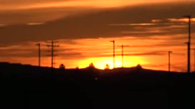 HUNTINGTON BEACH CALIFORNIA-2020: View Of Bright Yellow Sun Setting Behind Black Trees