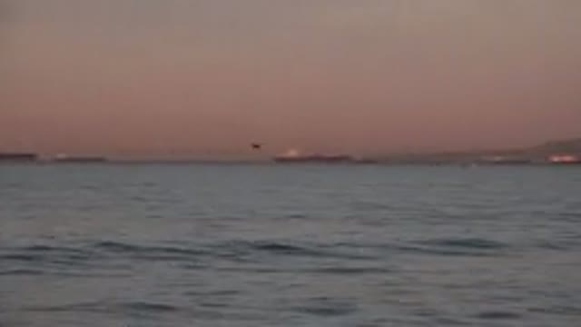 HUNTINGTON BEACH CALIFORNIA-2020: A Bird In The Distance Flies Over The Sea At