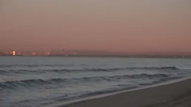 HUNTINGTON BEACH CALIFORNIA-2020: A Bird Flies Over A Beach During Sunset