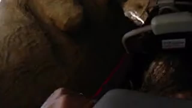 DISNEYLAND CALIFORNIA-2020: People Full Of Adrenaline Riding A Scary Roller Coaster