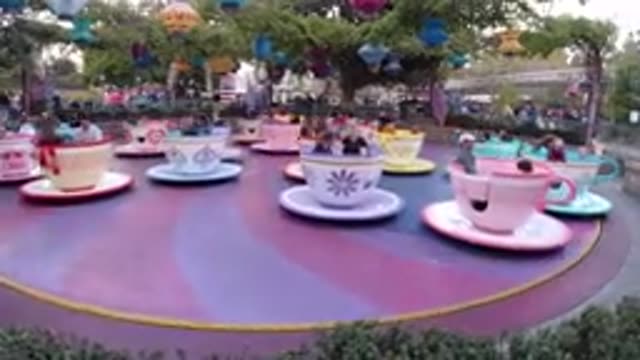 DISNEYLAND CALIFORNIA-2020: Amusement Park Guarantees Fun For All Ages In The