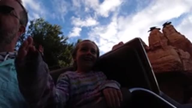 DISNEYLAND CALIFORNIA-2020: Fun Ride Theme Park Child Man Hands Arms Happy Trees