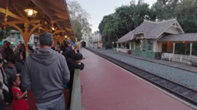 DISNEYLAND CALIFORNIA-2020: People Train Line Station Trees Light Children Men