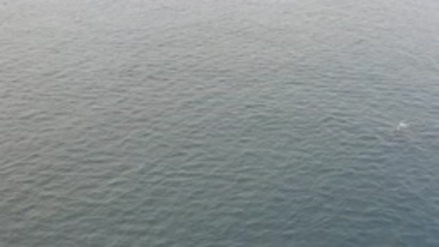 EAST CAPE BAJA CALIFORNIA SUR-2019: A Large Body Of Water From A Birds Eye View