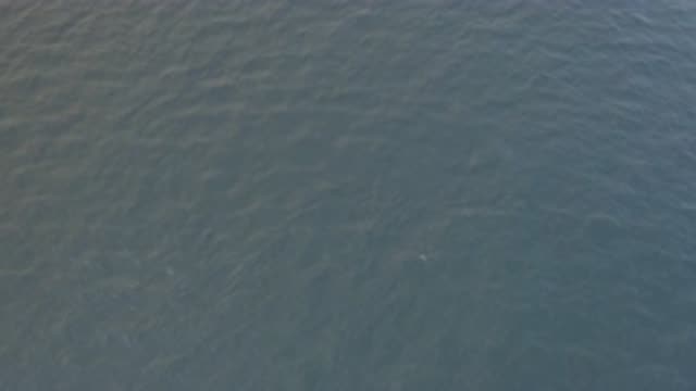 EAST CAPE BAJA CALIFORNIA SUR-2019: Relaxing Scene Of An Ocean That is Deep