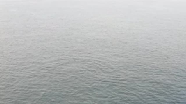 EAST CAPE BAJA CALIFORNIA SUR-2019: Aerial Vision From a Beach From Above