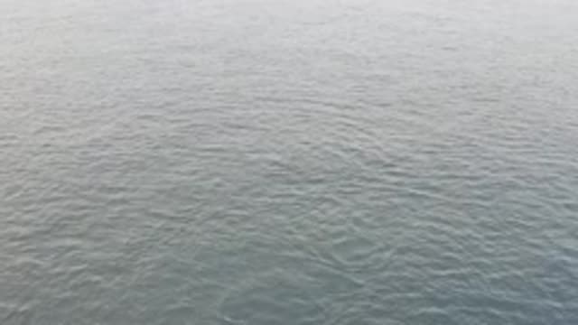 EAST CAPE BAJA CALIFORNIA SUR-2019: Calm And Open Water With No Discernible Land