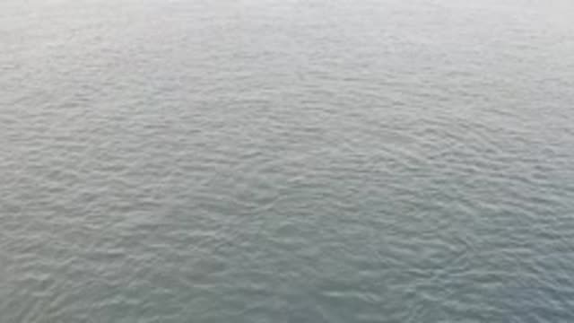 EAST CAPE BAJA CALIFORNIA SUR-2019: Something Underneath The Water Causing Ripples