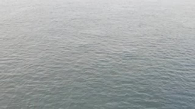EAST CAPE BAJA CALIFORNIA SUR-2019: Mara In Movement Records The Waves And Ocean