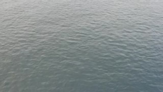 EAST CAPE BAJA CALIFORNIA SUR-2019: A Blissful View Of The Waters Current In