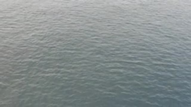EAST CAPE BAJA CALIFORNIA SUR-2019: Image Of The Surface Of The Water That