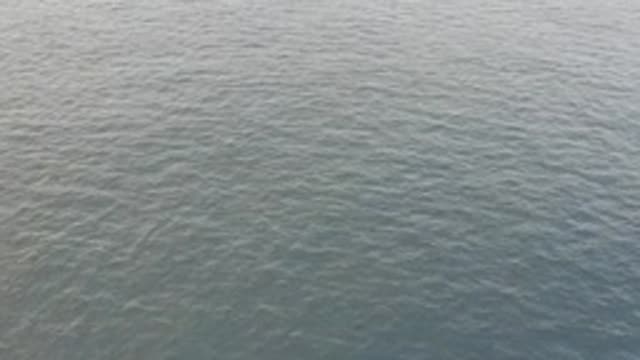 EAST CAPE BAJA CALIFORNIA SUR-2019: The Bird Flies Over The Ocean And Realizes