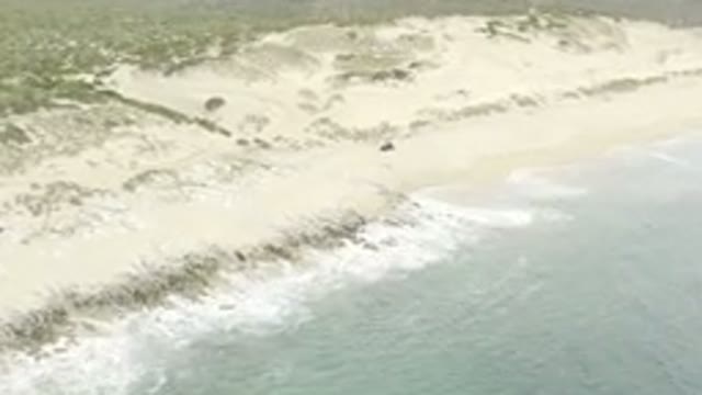 Aerial View Of RZR Vehicle On Sandy Beach