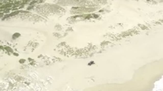 Overhead Aerial View Of RZR UTV On Sandy Beach